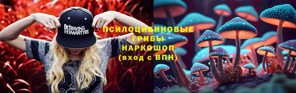 меф Осинники