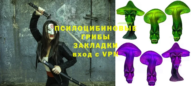 Галлюциногенные грибы Psilocybine cubensis  Миньяр 